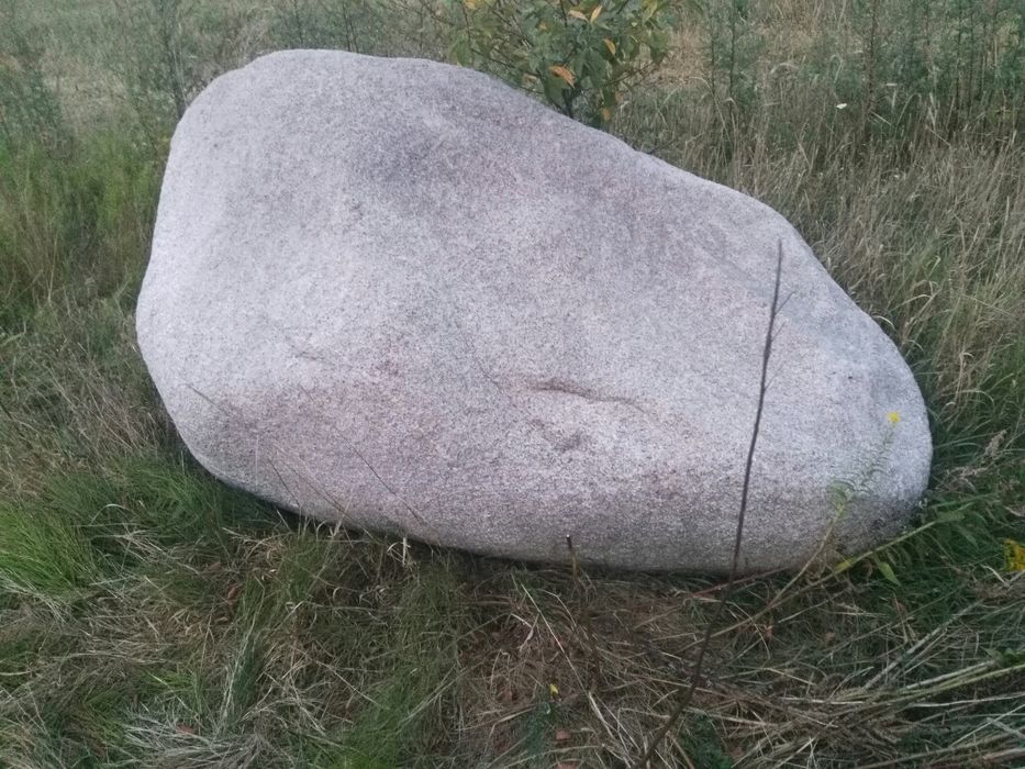 Kamień głaz skalniak