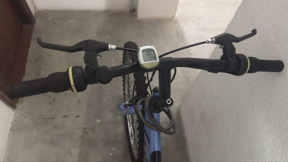 Bicicleta Avenue