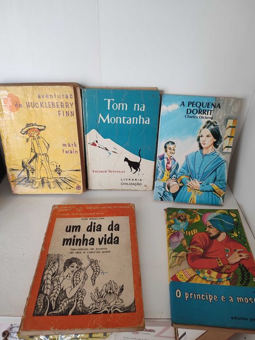 Coleção de livros Dicionário e Enciclopédias
