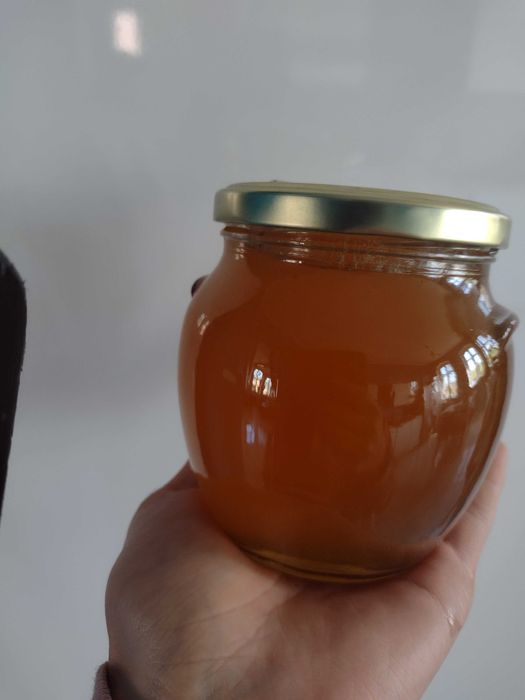 Miód  i ziolomiody