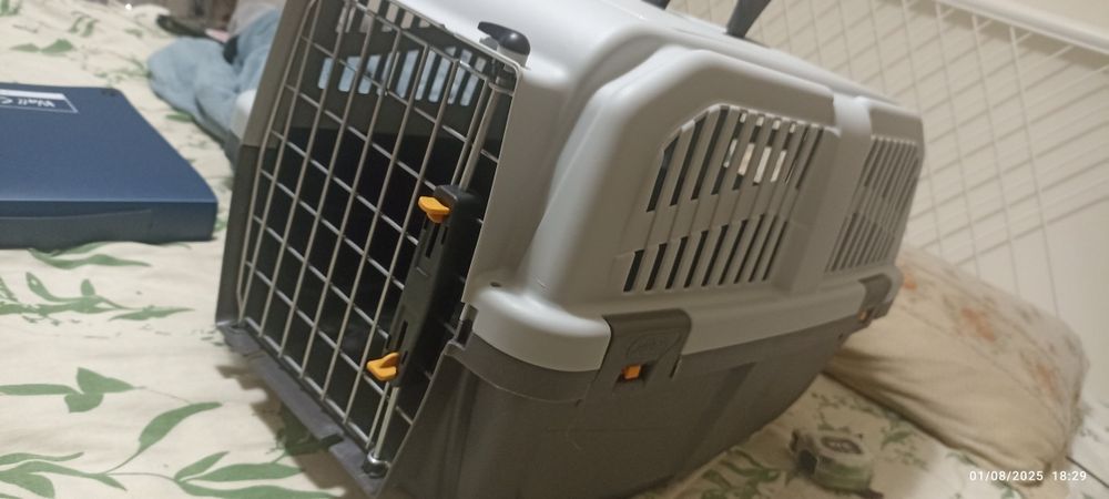 Caixa transportadora