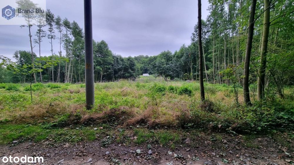Działka budowlana 1000m² las, góry