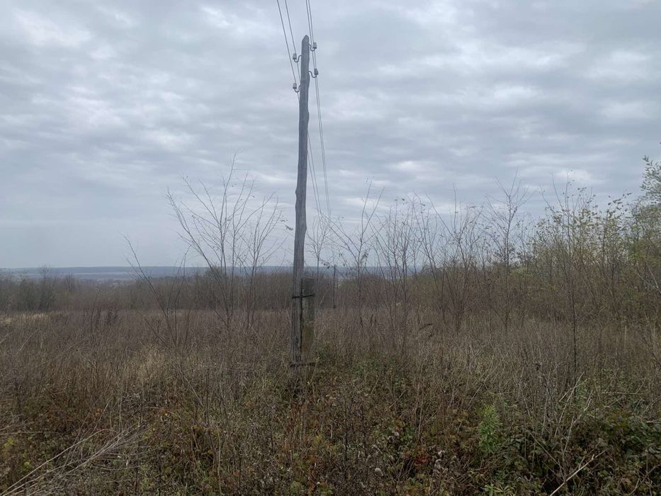 Земельна ділянка площею 1.7 га. Біля лісу!