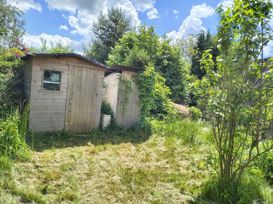 Działka ROD 705 m² Narutowicza - Widok 5