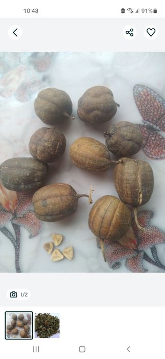 Кірказон , трава , насіння датура дурман