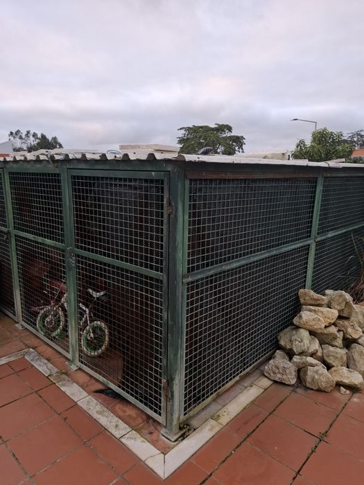 Canil com duas zonas