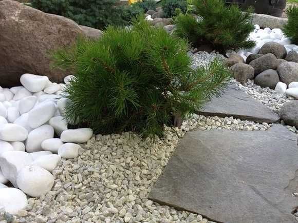 Otoczak Grecki Thassos