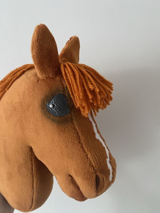 Hobby horse A4 rudy