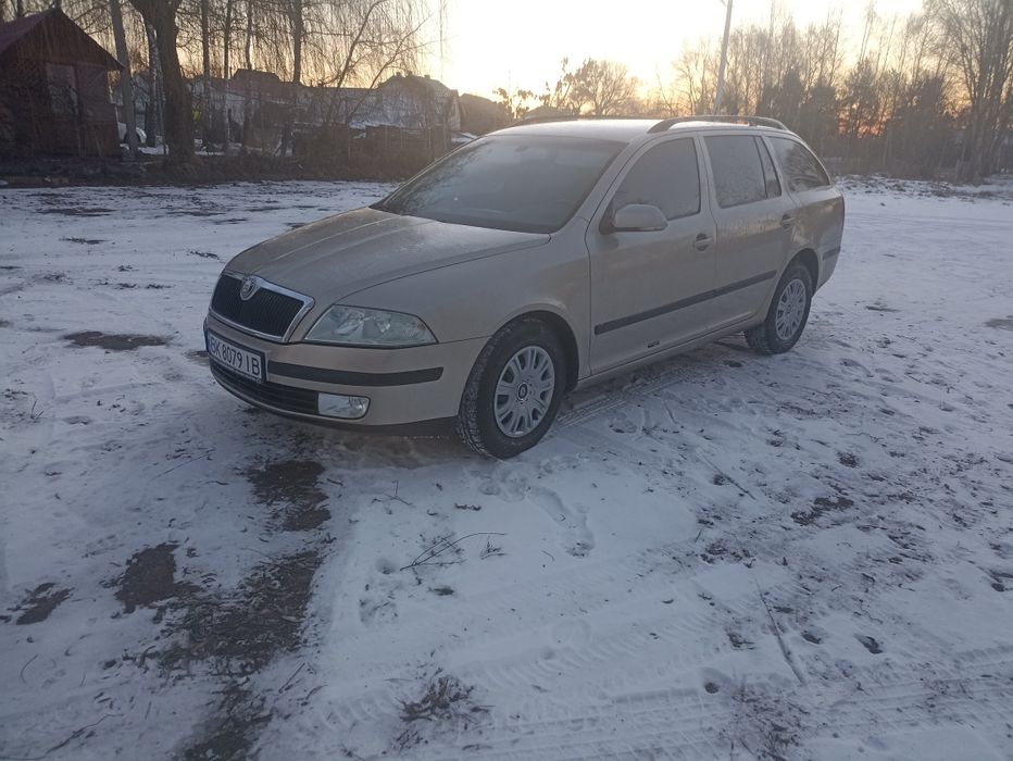 Шкода Октавія а5