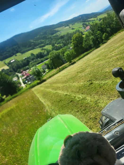 Koszenie łąk,  bijakowa, wykaszanie, mulczowanie trawy