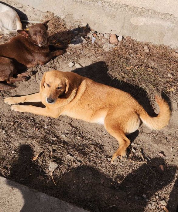 Nora oaza spokoju bardzo zrównoważona .