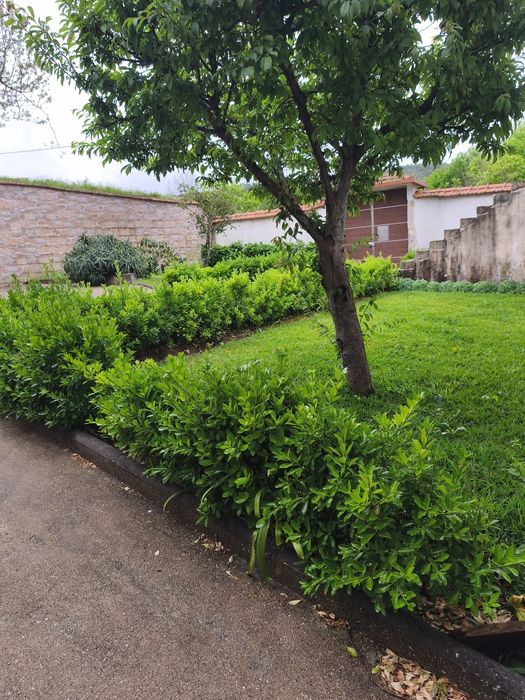 Serviços jardinagem