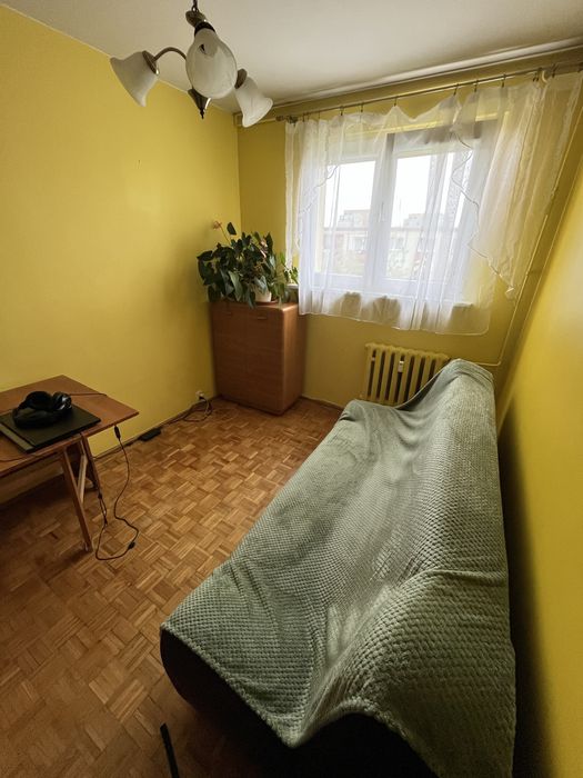 Zdjęcie 2