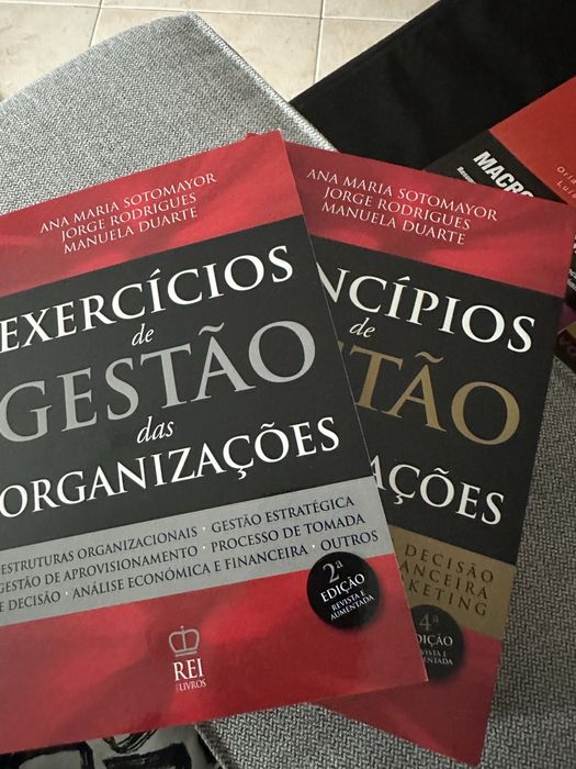 Manual Principios de Gestão e livro de Exercícios