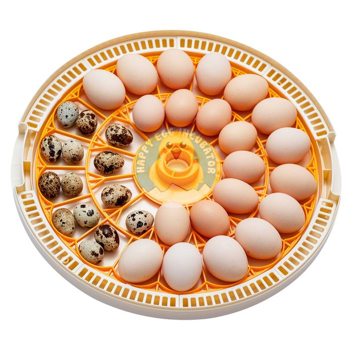 INKUBATOR Automatyczny HAPPY do 30 jaj UNIWERSALNY na każdy rodzaj jaj