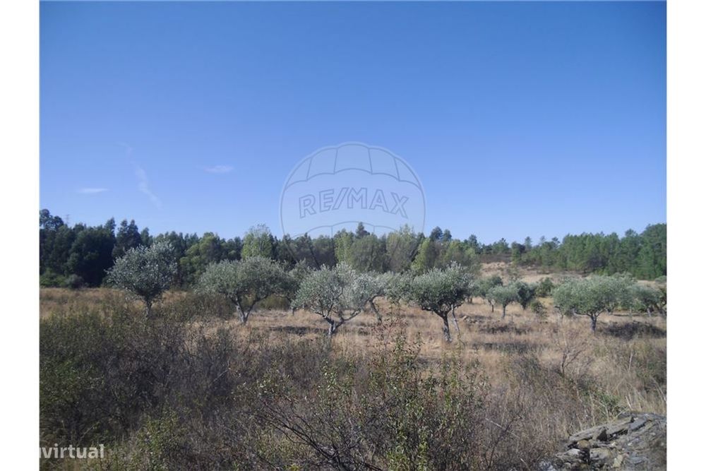 T0 Villa for Sale