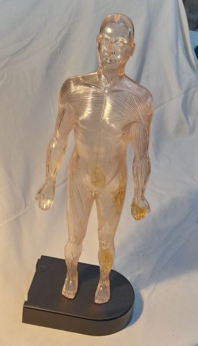 Homem de Plástico, figura com 41cm altura.