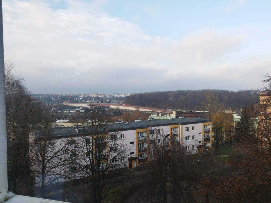 Zdjęcie 8