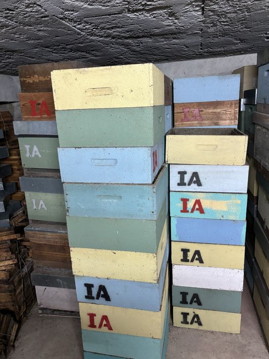 Colmeias favos , ninhos