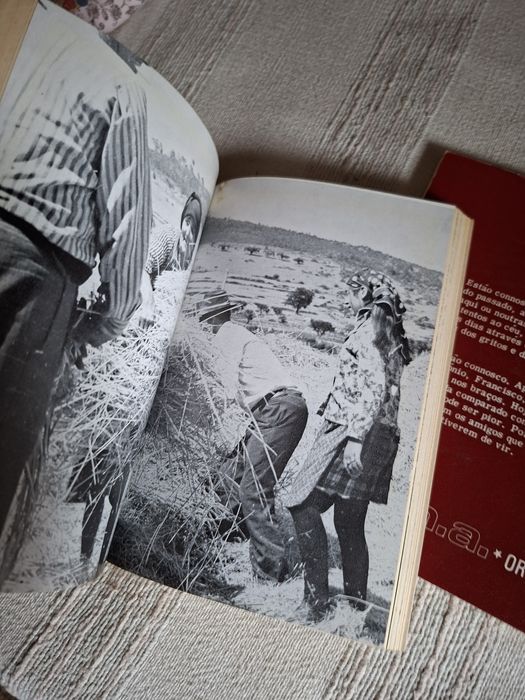 Dois livros de Modesto Navarro por sete euros