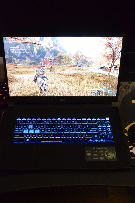 MSI Bravo 17 / RTX4050 / RYZEN 5 7535HS / 155hz