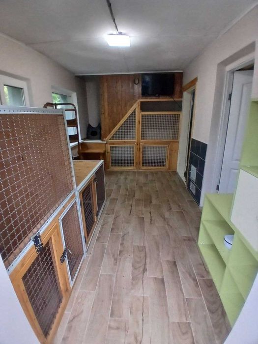Готель для собак