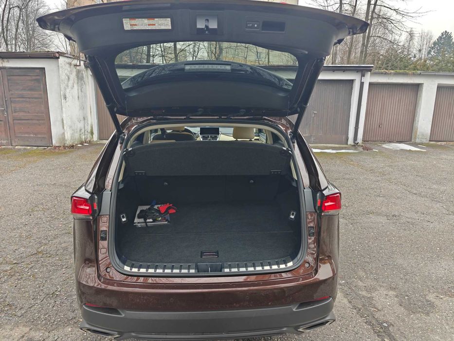 Lexus NX300 AWD Faktura VAT