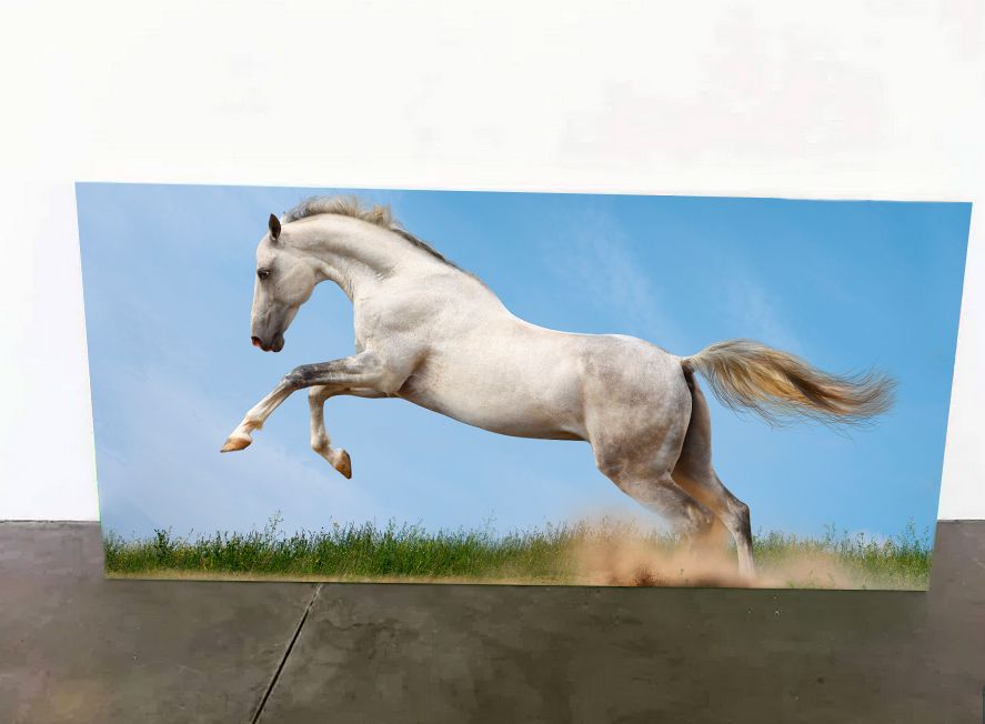 Telas Prontas a Pendurar 130x60 cms