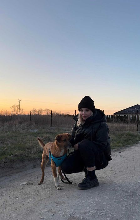 Sali szuka domu na zawsze