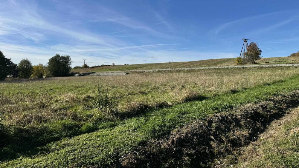 Atrakcyjna działka 423/1– 15 arów – dom + działalność w jednym miejscu