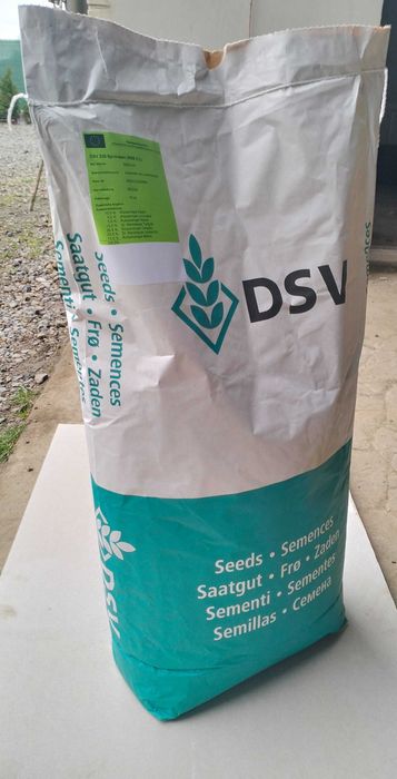 Nasiona trawy DSV 230 10 kg