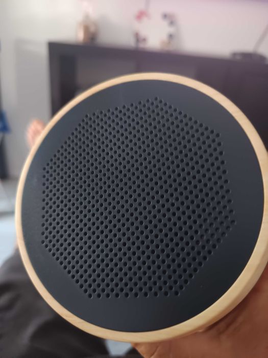 Coluna de som Disney rei leão