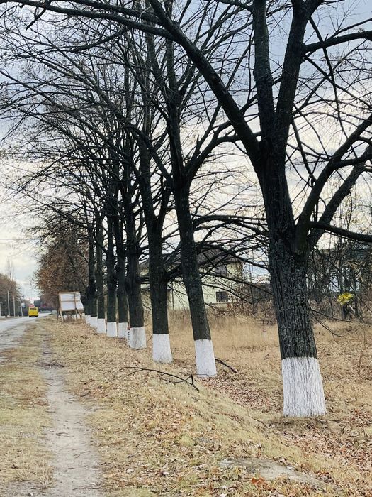 с.Мила продаж зельної ділянки 12 соток