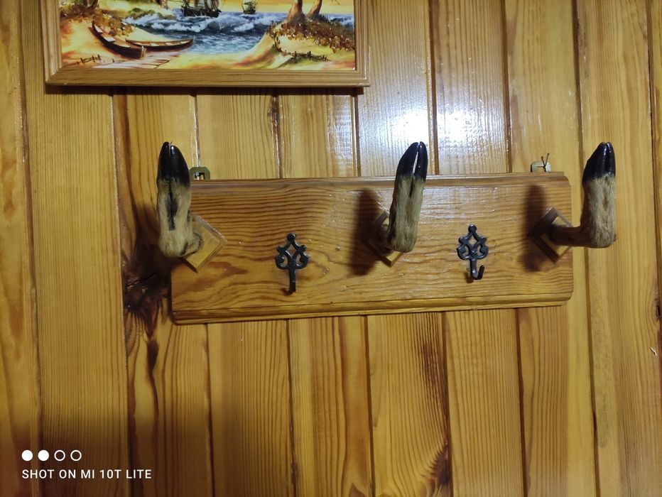 Rogi, skóry ,trofea myśliwskie