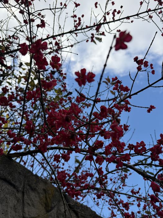 Продається комерційне приміщеня