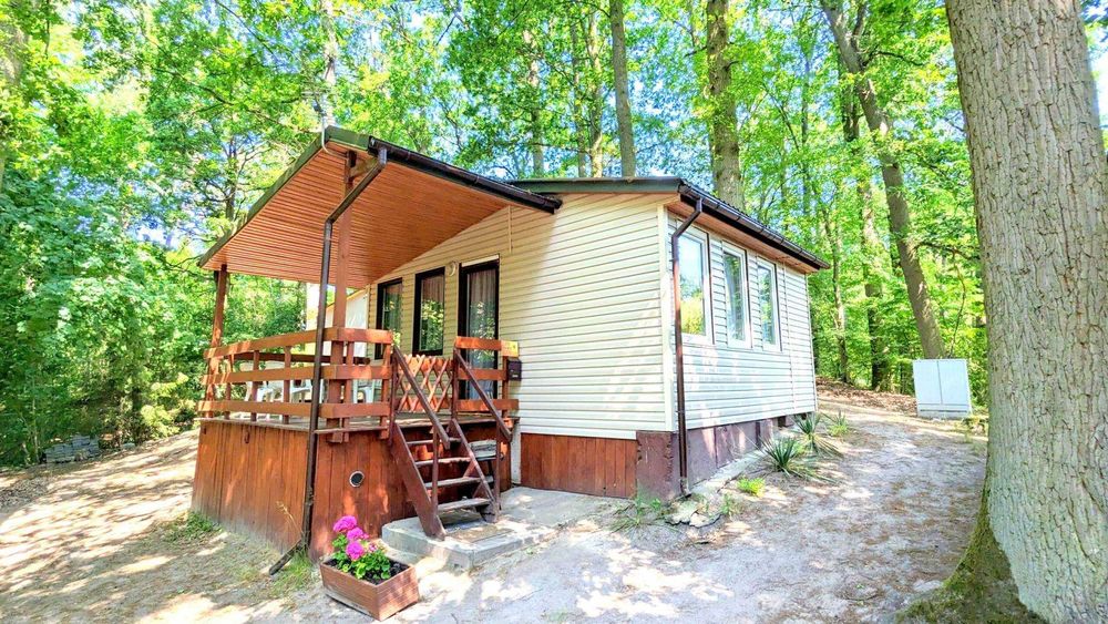 Domki, Noclegi Skorzęcin