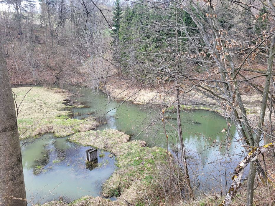 Domki Bieszczady Solina Polańczyk Myczków