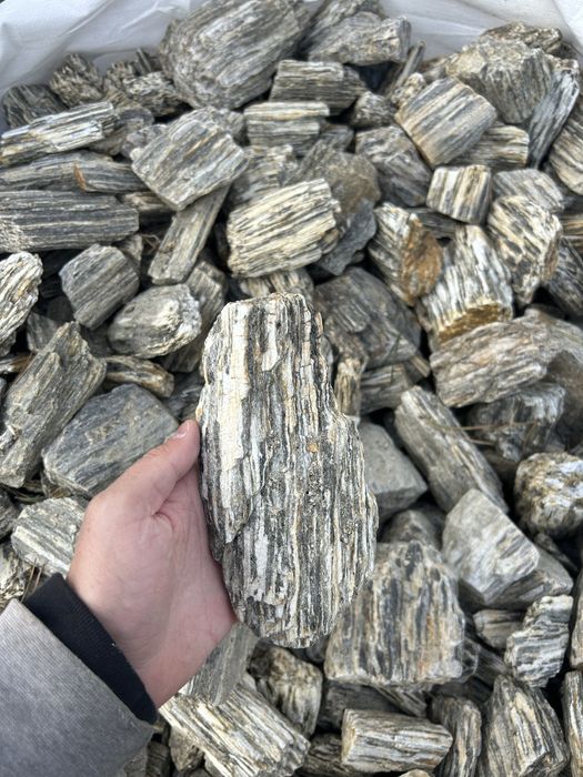 ŁUPEK DRZEWIASTY Kamień Skała do Akwarium Kora Kamienna Gnejs Malawi