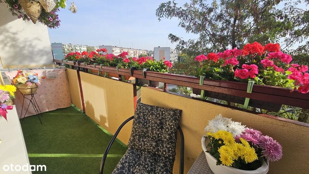 Przestronne mieszkanie 48,1 m² | 2 pokoje