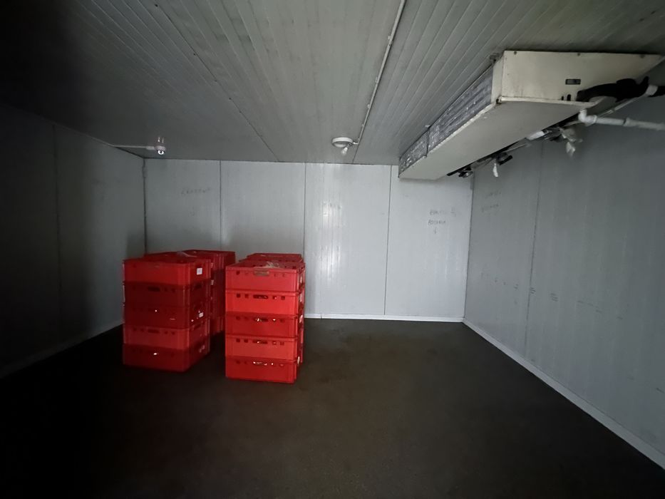 Lokal do wynajecia