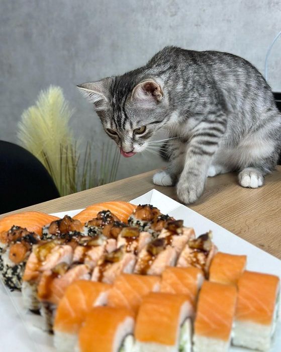 Кур'єр на доставку суші