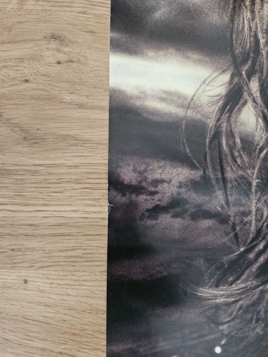 Plakat z filmu Władca pierścieni Powrót króla