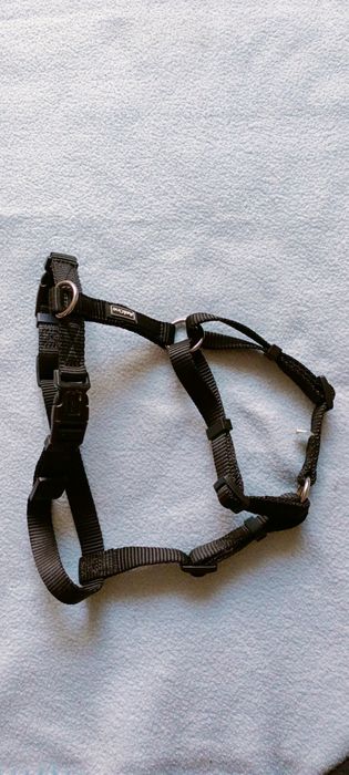 Szelki dla psa AniOne