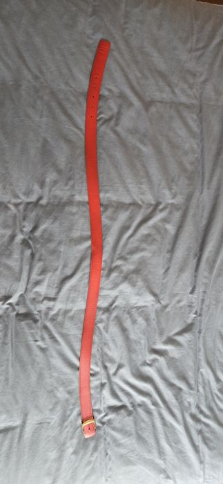 Vento cinto da louis vuitton