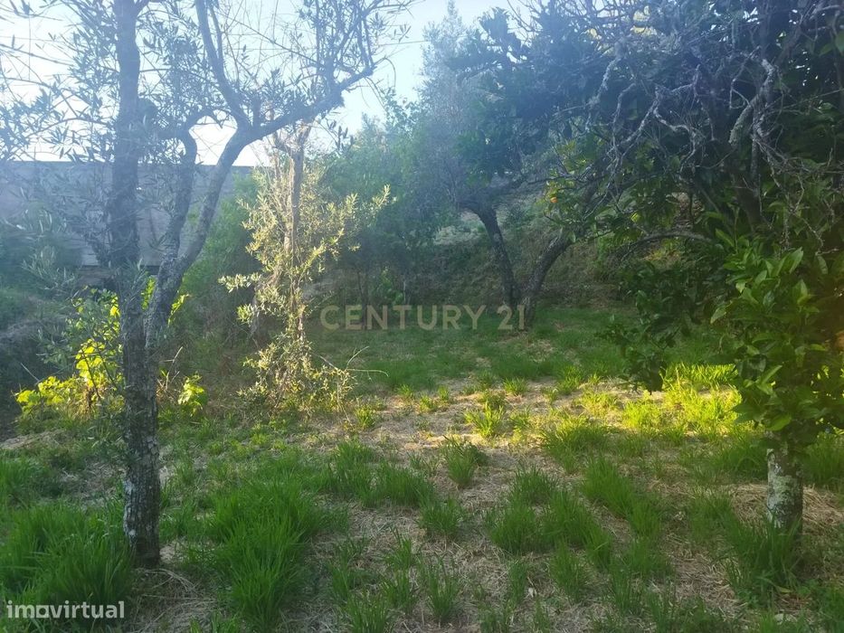Terreno rústico | São Vicente da Beira, Castelo Branco