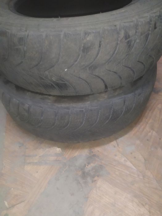 Р.14.185.65. зима