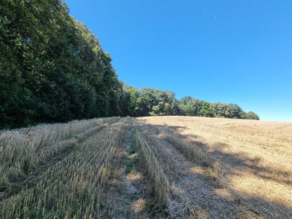 Działka inwestycyjno-budowlana Dankowo, gmina Kwidzyn