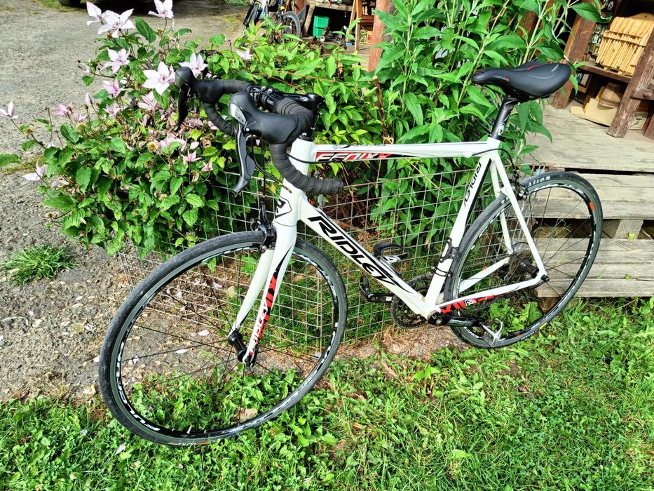Radley Fenix FORZA Shimano 105 rower szosowy
