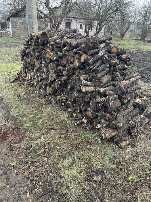 Продам дрова слива, вишня, яблуня