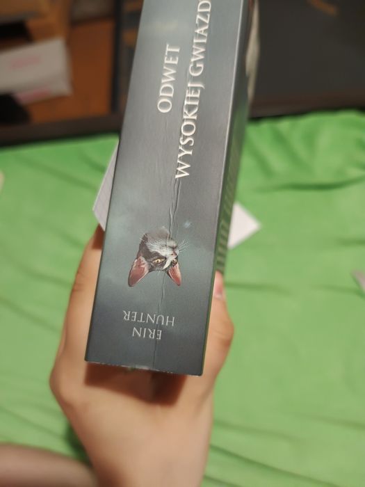 Seria książek Wojownicy